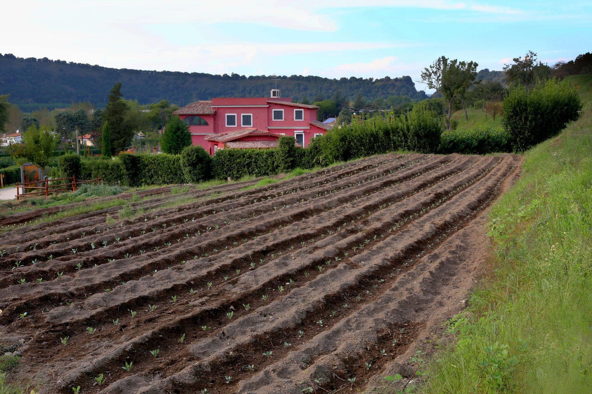 Vila Agriturismo San Martino Pozzuoli Exteriér fotografie