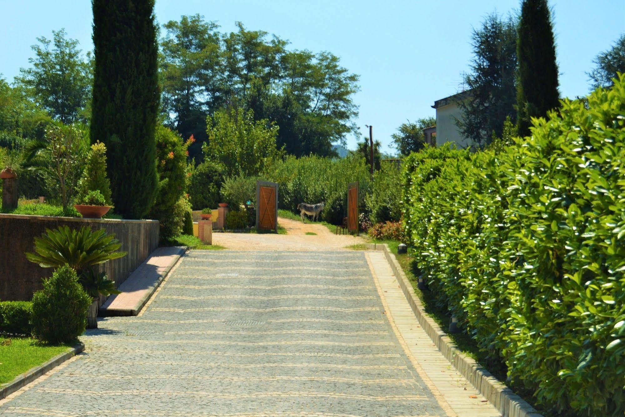 Vila Agriturismo San Martino Pozzuoli Exteriér fotografie